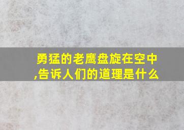 勇猛的老鹰盘旋在空中,告诉人们的道理是什么