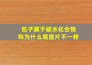 包子属于碳水化合物吗为什么呢图片不一样