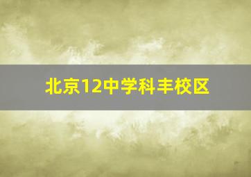 北京12中学科丰校区