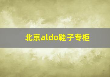 北京aldo鞋子专柜