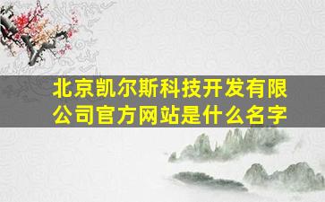 北京凯尔斯科技开发有限公司官方网站是什么名字