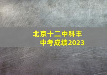 北京十二中科丰中考成绩2023