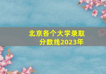 北京各个大学录取分数线2023年