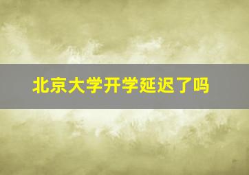 北京大学开学延迟了吗