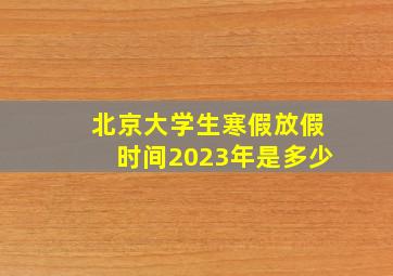 北京大学生寒假放假时间2023年是多少