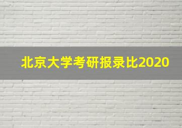 北京大学考研报录比2020