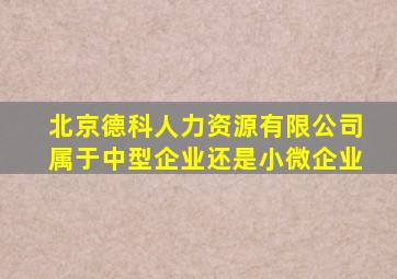 北京德科人力资源有限公司属于中型企业还是小微企业