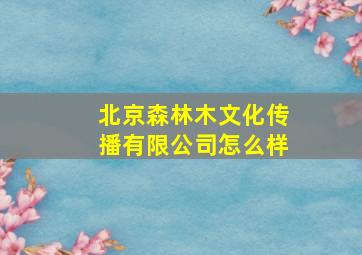 北京森林木文化传播有限公司怎么样