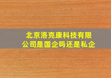 北京洛克康科技有限公司是国企吗还是私企