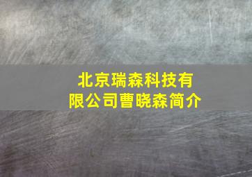 北京瑞森科技有限公司曹晓森简介