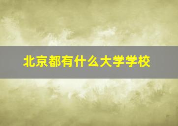 北京都有什么大学学校