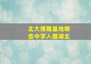 北大博雅基地哪些中学入围湖北