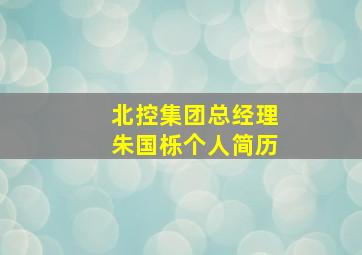 北控集团总经理朱国栎个人简历