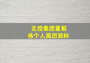 北控集团董蓟伟个人简历资料