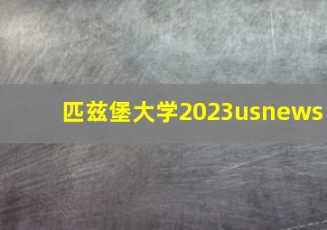 匹兹堡大学2023usnews