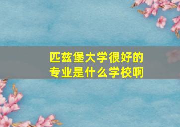 匹兹堡大学很好的专业是什么学校啊