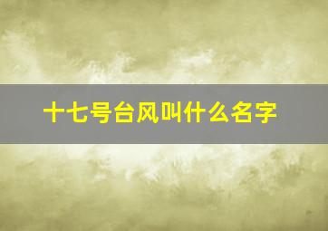 十七号台风叫什么名字