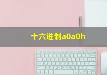 十六进制a0a0h