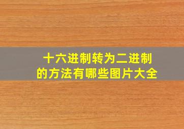 十六进制转为二进制的方法有哪些图片大全