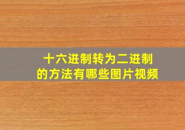 十六进制转为二进制的方法有哪些图片视频