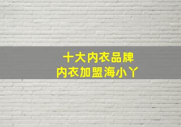 十大内衣品牌内衣加盟海小丫