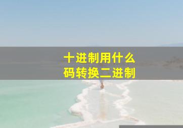 十进制用什么码转换二进制