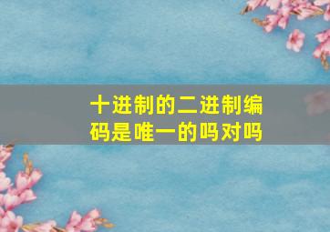 十进制的二进制编码是唯一的吗对吗