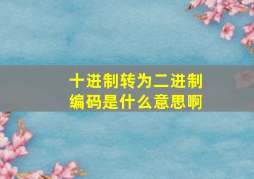 十进制转为二进制编码是什么意思啊