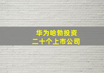 华为哈勃投资二十个上市公司