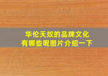 华伦天奴的品牌文化有哪些呢图片介绍一下