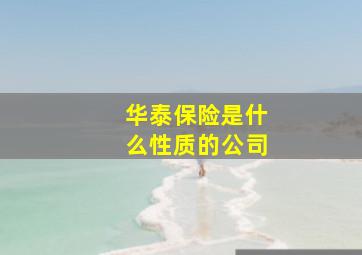 华泰保险是什么性质的公司