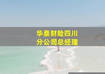 华泰财险四川分公司总经理