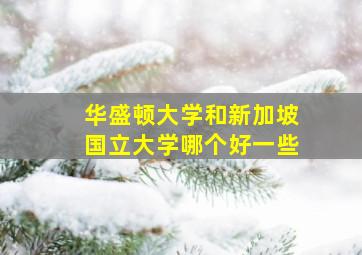 华盛顿大学和新加坡国立大学哪个好一些