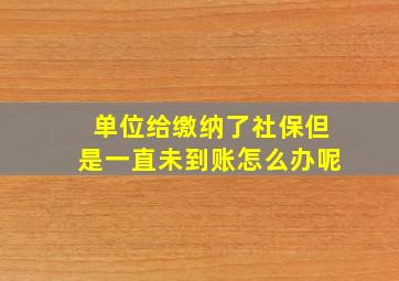 单位给缴纳了社保但是一直未到账怎么办呢