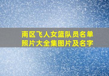 南区飞人女篮队员名单照片大全集图片及名字