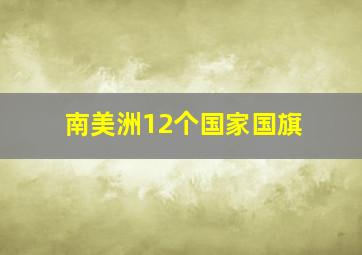 南美洲12个国家国旗