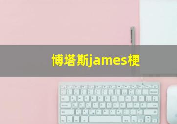 博塔斯james梗