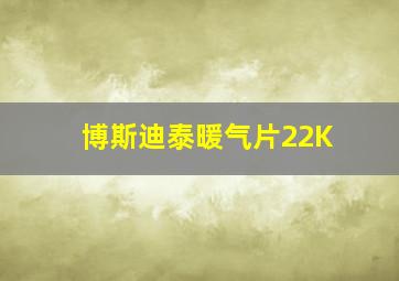 博斯迪泰暖气片22K