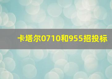 卡塔尔0710和955招投标