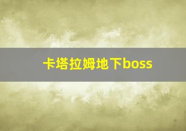 卡塔拉姆地下boss