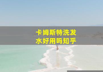 卡姆斯特洗发水好用吗知乎