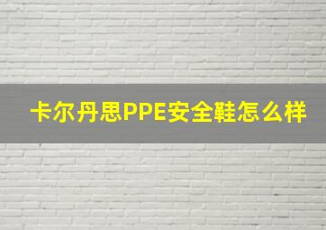 卡尔丹思PPE安全鞋怎么样