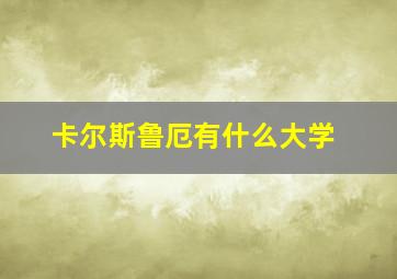 卡尔斯鲁厄有什么大学