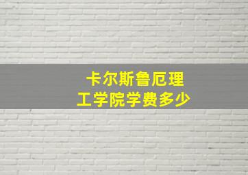 卡尔斯鲁厄理工学院学费多少