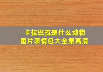 卡拉巴拉是什么动物图片表情包大全集高清