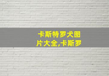 卡斯特罗犬图片大全,卡斯罗