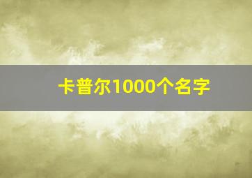 卡普尔1000个名字