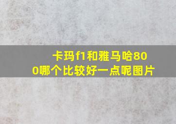 卡玛f1和雅马哈800哪个比较好一点呢图片