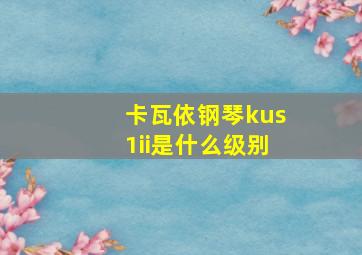 卡瓦依钢琴kus1ii是什么级别