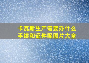 卡瓦斯生产需要办什么手续和证件呢图片大全